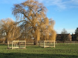 Pröbe Hof Jungbäume