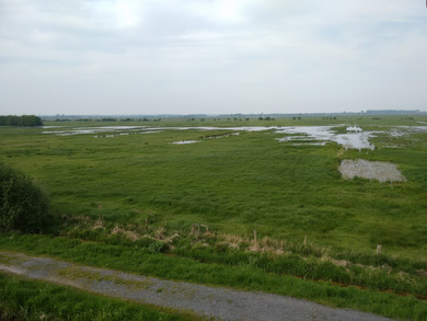 Aussicht Ochenmoor